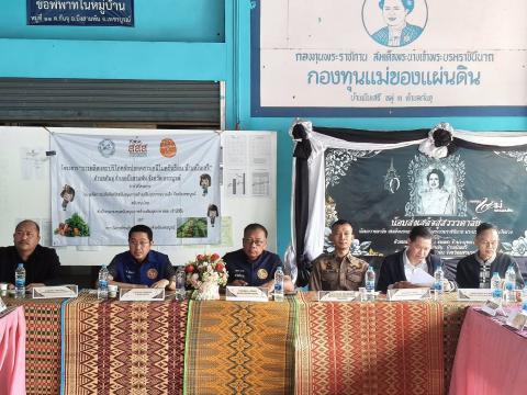 โครงการการผลิตและบริโภคผักปลอดสารเคมีในครัวเรือน